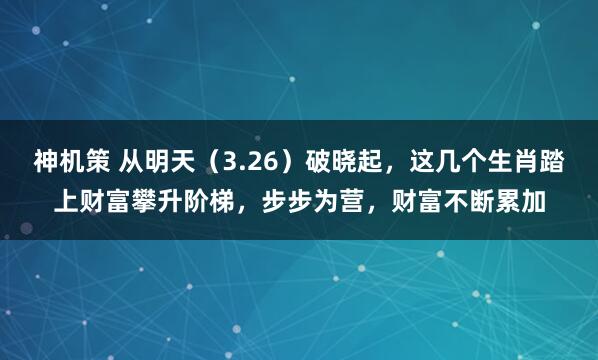 神机策 从明天（3.26）破晓起，这几个生肖踏上财富攀升阶梯，步步为营，财富不断累加