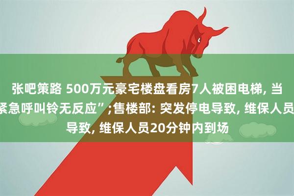 张吧策路 500万元豪宅楼盘看房7人被困电梯, 当事人称“电梯紧急呼叫铃无反应”;售楼部: 突发停电导致, 维保人员20分钟内到场
